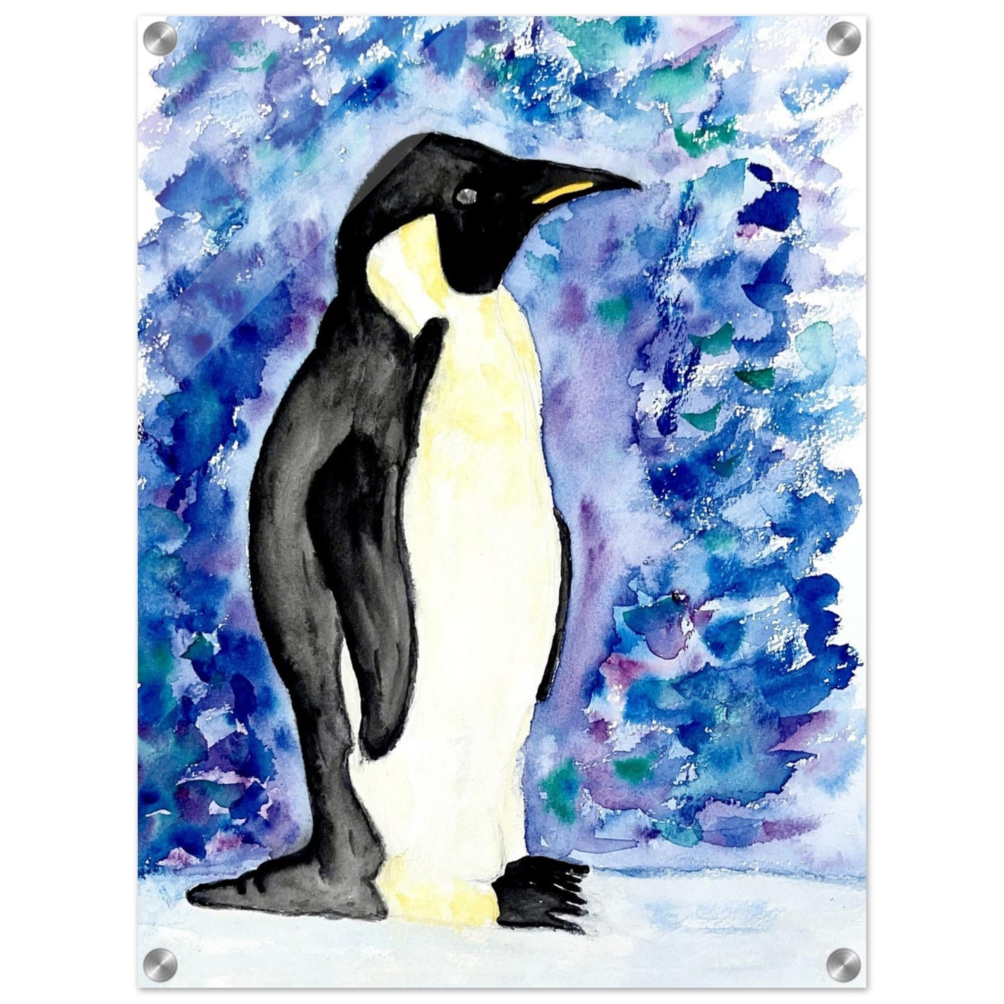 Emperor Penguin Acrylic Prints