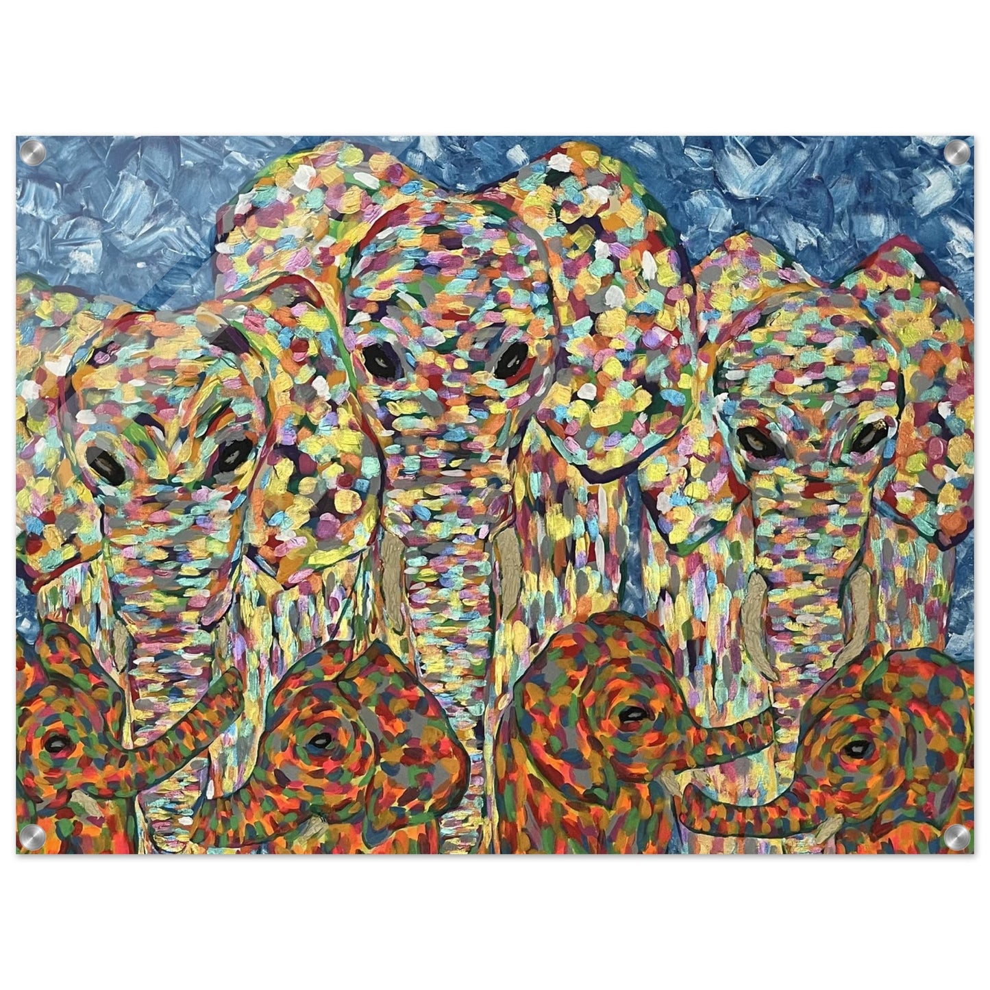 Multi Coloured Elephants Acrylic Prints