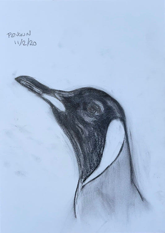 Penguin Sketch