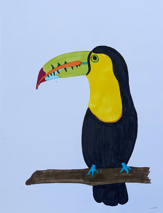 Toucan