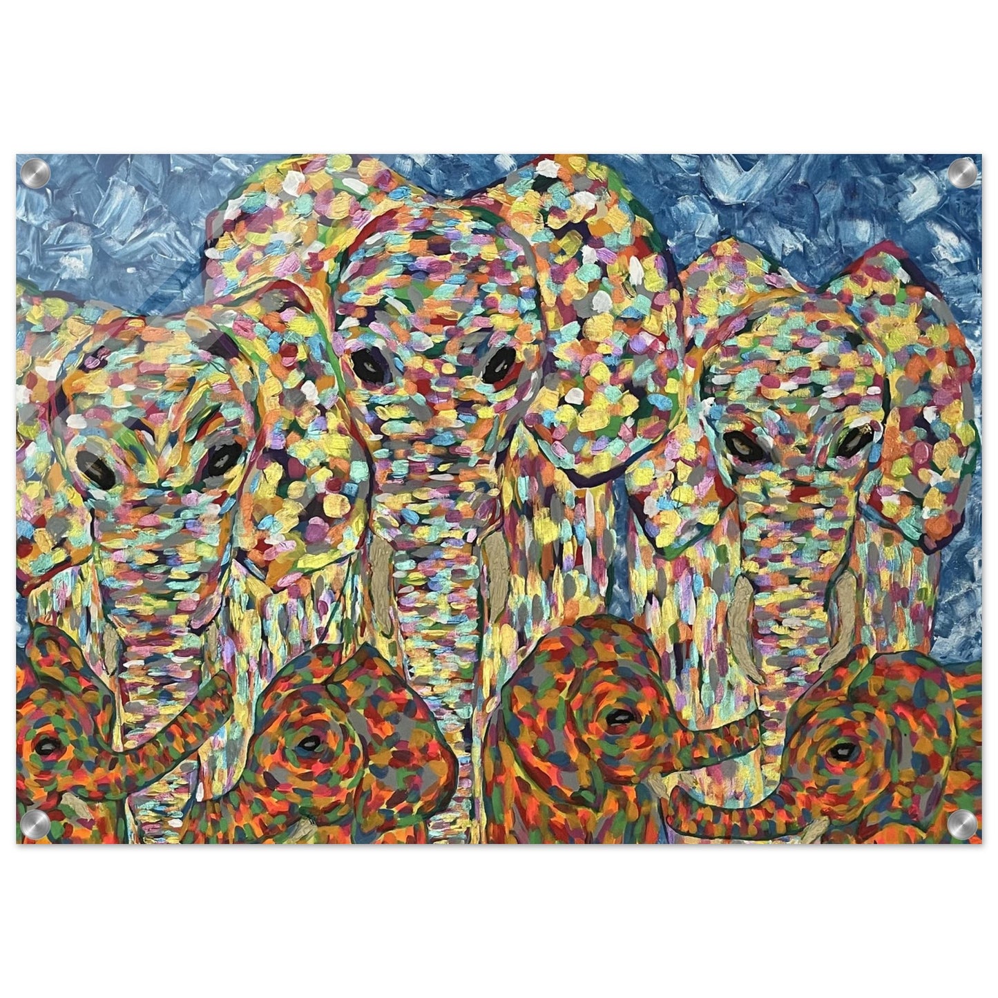 Multi Coloured Elephants Acrylic Prints