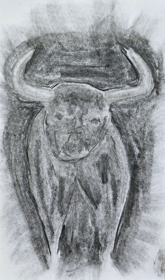 Charcoal Bull